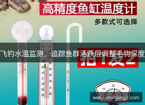 飞钓水温监测,追踪鱼群活跃层调整毛钩深度 飞钓水温监测,追踪鱼群活跃层调整毛钩深度